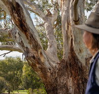NEW TOUR - Kangaroo Island Road to Recovery Tour 1 Day/1 Night - Accommodation Tasmania