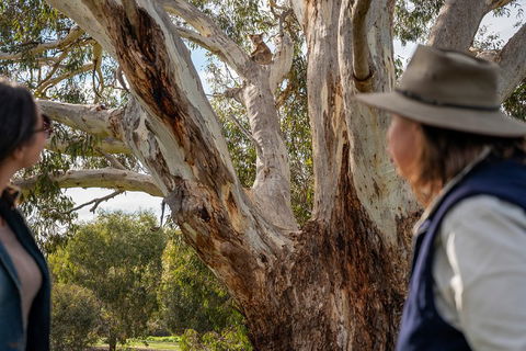 NEW TOUR - Kangaroo Island Road To Recovery Tour (1 Day/1 Night) - Accommodation Tasmania 0
