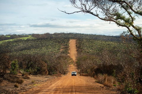 NEW TOUR - Kangaroo Island Road To Recovery Tour (1 Day/1 Night) - Accommodation Tasmania 2