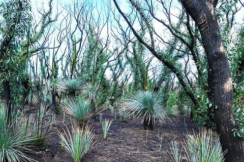 NEW TOUR - Kangaroo Island Road To Recovery Tour (1 Day/1 Night) - Accommodation Tasmania 3