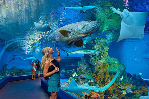 Cairns Aquarium Admission Ticket - Accommodation Tasmania 3