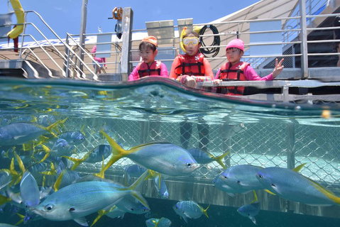 Outer Reef Pontoon Experience From Cairns - Accommodation Tasmania 0