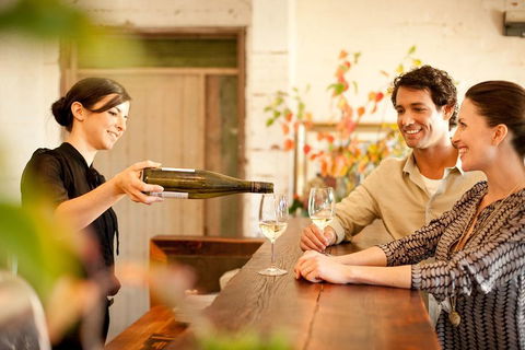 Mornington Peninsula Winery Tours With Cheese, Chocolate Tastings From Melbourne - Accommodation Tasmania 2