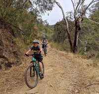 Mount Lofty Descent Bike Tour from Adelaide - Accommodation Tasmania