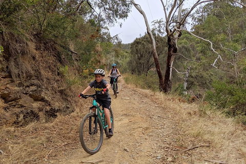 Mount Lofty Descent Bike Tour From Adelaide - Accommodation Tasmania 0