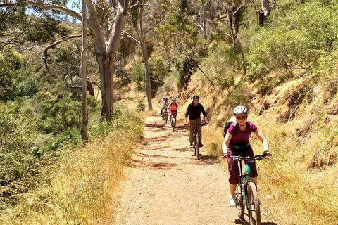 Mount Lofty Descent Bike Tour From Adelaide - Accommodation Tasmania 3