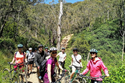 Mount Lofty Descent Bike Tour From Adelaide - Accommodation Tasmania 5