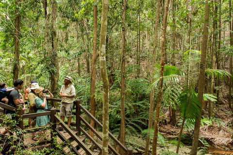 Fraser Explorer K'gari 2-Day Tour - Accommodation Tasmania 5