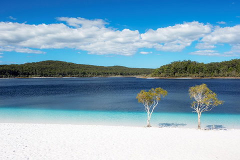 All-Inclusive Fraser Island Day Tour - Accommodation Tasmania 3