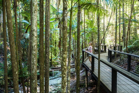 All-Inclusive Fraser Island Day Tour - Accommodation Tasmania 5