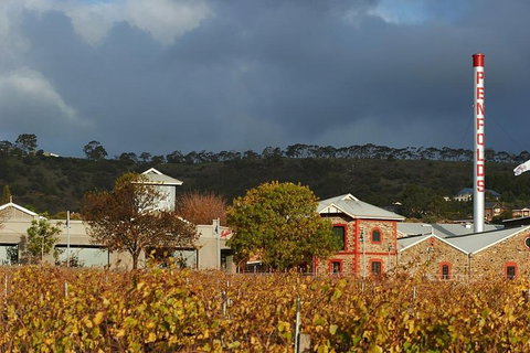 Penfolds Magill Estate Iconic Experience - Accommodation Tasmania 3