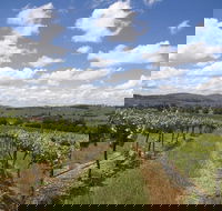 Hunter Valley Wine Tour from Sydney incl Lunch Cheese Chocolate and Distillery - Accommodation Tasmania