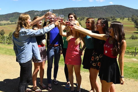 Hunter Valley Wine Tour From Sydney Incl Lunch, Cheese, Chocolate And Distillery - Accommodation Tasmania 3