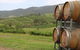 Hunter Valley Wine Tour From Sydney Incl Lunch, Cheese, Chocolate And Distillery - thumb 5