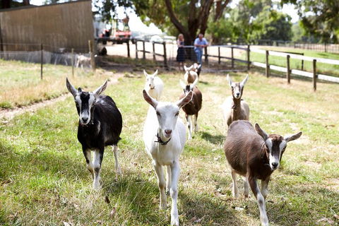 Mornington Peninsula Farm Produce Wine And Cider Tour - Accommodation Tasmania 3