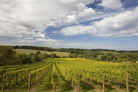 Mornington Peninsula Farm Produce Wine And Cider Tour - Accommodation Tasmania 5