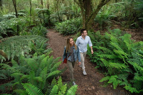 Great Ocean Road Full Coastal Tour - 3 Days, 2 Nights - Accommodation Tasmania 4
