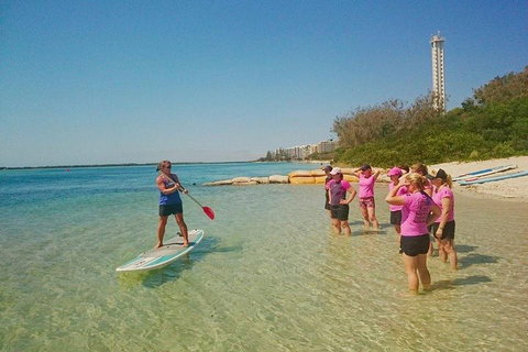 Golden Beach 1-Hour Stand-Up Paddleboard Hire On The Sunshine Coast - Accommodation Tasmania 1