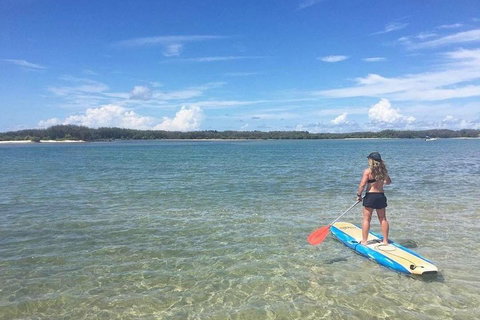 Golden Beach 1-Hour Stand-Up Paddleboard Hire On The Sunshine Coast - Accommodation Tasmania 4