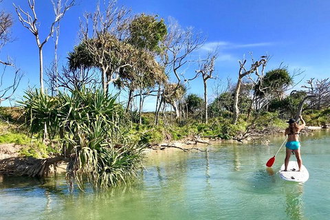 Golden Beach 1-Hour Stand-Up Paddleboard Hire On The Sunshine Coast - Accommodation Tasmania 5