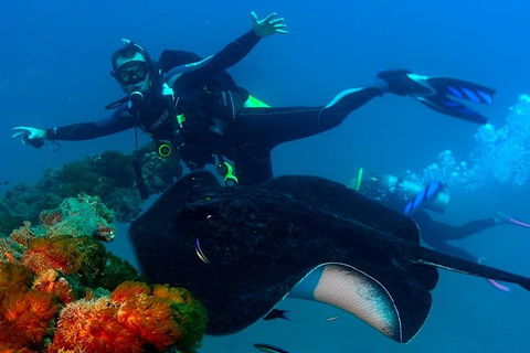 Scuba Dive The S.S. Yongala Wreck On The Great Barrier Reef. - Accommodation Tasmania 0