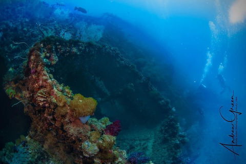 Scuba Dive The S.S. Yongala Wreck On The Great Barrier Reef. - Accommodation Tasmania 3