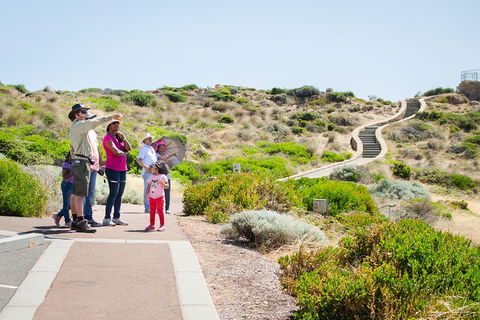 Margaret River Coastal And Wildlife Eco Trip From Busselton Or Dunsborough - Accommodation Tasmania 0
