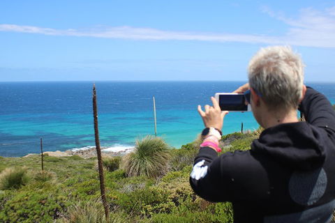 Margaret River Coastal And Wildlife Eco Trip From Busselton Or Dunsborough - Accommodation Tasmania 3