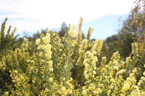 Margaret River Coastal And Wildlife Eco Trip From Busselton Or Dunsborough - Accommodation Tasmania 4