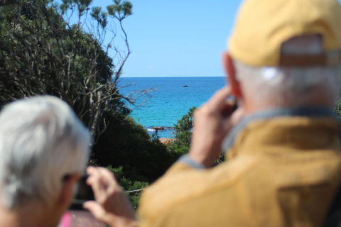Margaret River Coastal And Wildlife Eco Trip From Busselton Or Dunsborough - Accommodation Tasmania 5